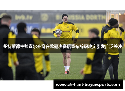 多特蒙德主帅泰尔齐奇在欧冠决赛后宣布辞职决定引发广泛关注